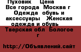 Пуховик  › Цена ­ 900 - Все города, Москва г. Одежда, обувь и аксессуары » Женская одежда и обувь   . Тверская обл.,Бологое г.